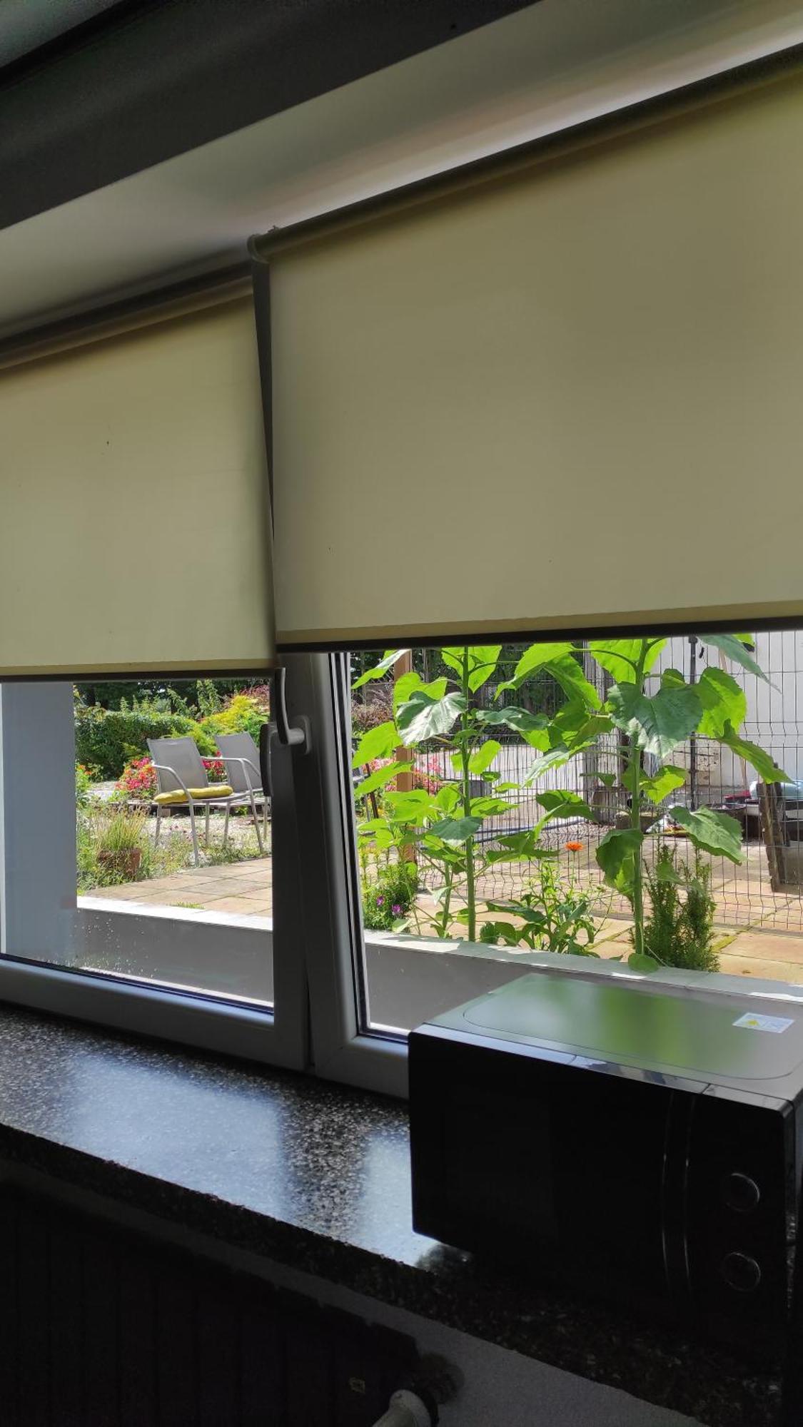 Apartament Dla Pary Stara Szkola Weremowice Dış mekan fotoğraf